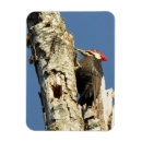 Recherche de pic magnets Noir