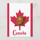 Recherche de castors cartes postales Canadien