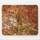 Recherche de feuille orange tapis souris Automne