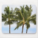 Recherche de palmiers tapis souris Ciel