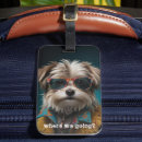Zoek naar leuke honden accessoires Dier