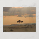Recherche de rayons du soleil cartes postales Orange