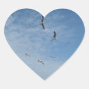 Recherche de mouette en vol autocollants Voler