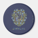 Zoek naar ravenclaw magneten Harry potter