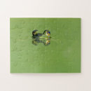Recherche de grenouille puzzles Eau