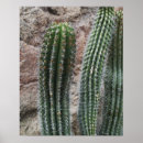 Recherche de orgues posters Cactus