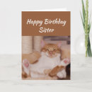 Recherche de chaton toutes vœux cartes Pour elle