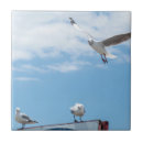 Recherche de mouette carreaux Tuiles