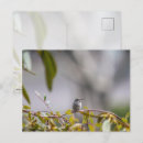 Recherche de colibris cartes postales Feuille