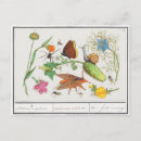 Zoek naar vintage botanisch briefkaarten Illustratie