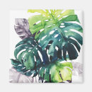 Recherche de palmiers tropicaux magnets Feuille
