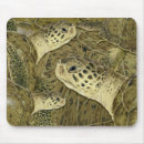 Recherche de tortue verte tapis souris Tortue de mer