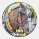 Recherche de clydesdale autocollants Cheval de trait