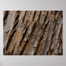 Zoek naar boomschors posters Abstract
