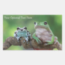Recherche de grenouille autocollants Mignon