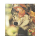 Recherche de loup blocsnotes Nature