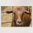 Zoek naar grappige geit puzzels Boerderij