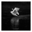 Recherche de oiseau de b art Cygne