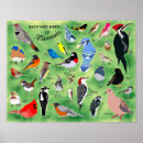 Zoek naar tuinen posters Vogels
