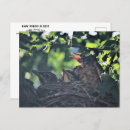 Recherche de animal bébé cartes postales Animaux