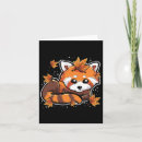 Zoek naar rode panda kaarten Bos