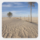 Recherche de sahara autocollants Afrique du nord