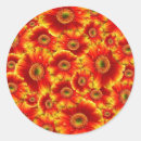 Recherche de gerberas autocollants Marguerite