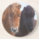 Recherche de cheval islandais dessous de verres Animal