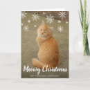 Recherche de image mignonne de chat vœux cartes Pour animaux