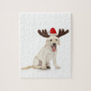 Recherche de laboratoire puzzles Mignon