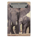 Recherche de éléphant porte blocs Faune