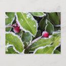 Recherche de se givrer cartes postales Baie
