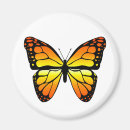 Recherche de monarque magnets Été