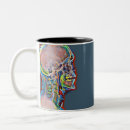 Recherche de squelette humain tasses Biologie
