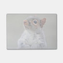 Recherche de écureuil gris posters Rongeur