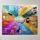 Zoek naar synaps posters Neuron