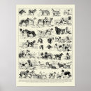 Recherche de vintage dog posters Cheval