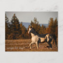 Recherche de paysage de nature cartes postales Photographie