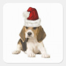 Recherche de beagle autocollants Père noël