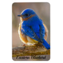 Recherche de 10 ans magnets Bleu