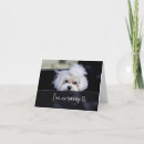 Recherche de animaux memorial vœux cartes Compassion