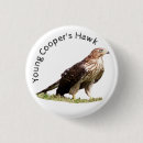 Recherche de fauconnerie badges Oiseau de proie