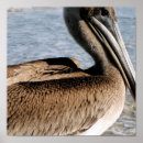 Zoek naar zwart wit water posters Hemel