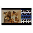 Recherche de chatons cartes visite Pour tous