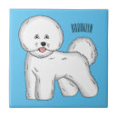 Recherche de frise de bichon carreaux Toute personne