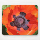 Recherche de fleur orientale tapis souris Pavot