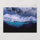 Recherche de steiner cartes postales Antarctique