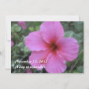 Recherche de de ketmie invitations Hawaïen