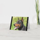 Recherche de dobermann vœux cartes Amour
