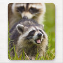 Recherche de loto tapis souris Fourrure